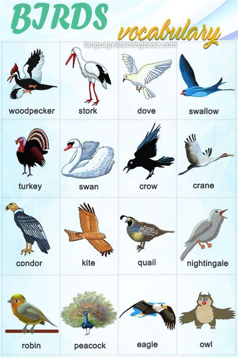 related to birds word hike|Word Hike Related to birds [ Answer ] .